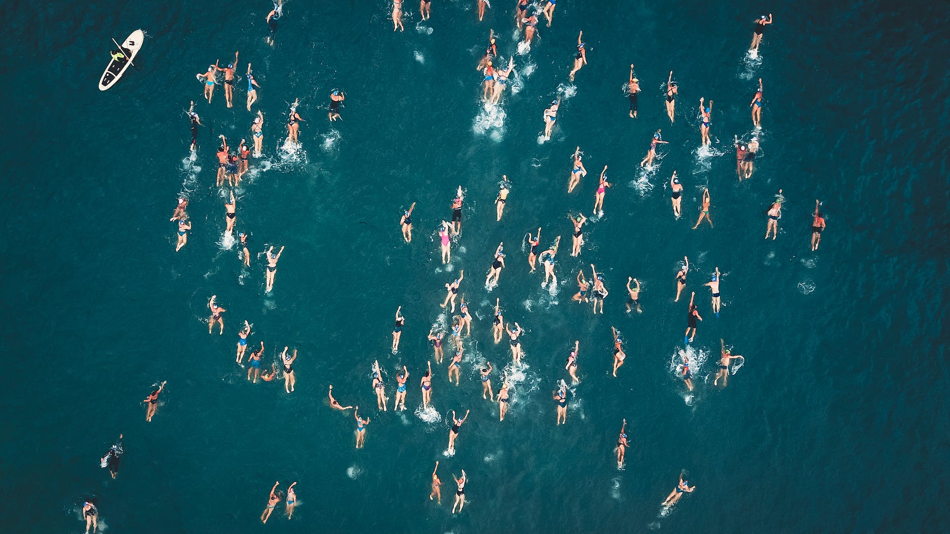 aerial view of people swimming on sea